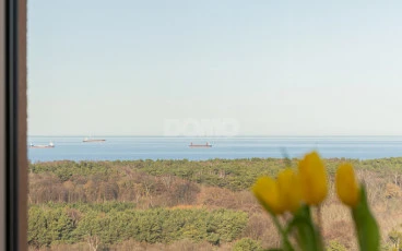 Horyzont | 15. piętro | Panoramiczny widok